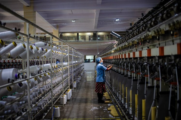 Dead Stock Buyers in Australia — Machinery Clearance Near Canberra, Australia
