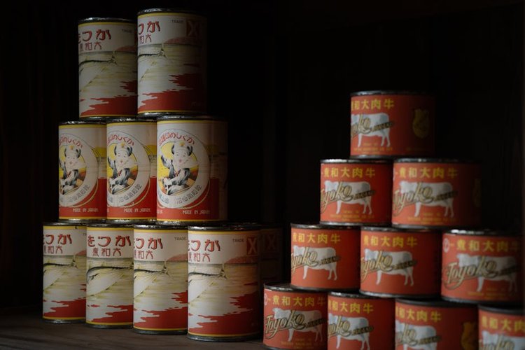 Liquidate Your Food & FMCG Stock in Limerick, Ireland — Clear Your Stocks Pays Same Day