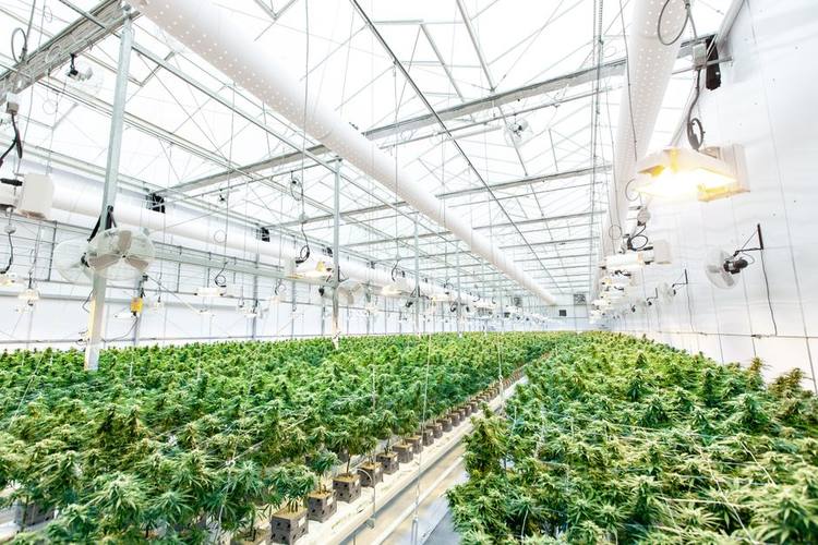 مشترو الأسهم غير المتحركة المملكة العربية السعودية — السلامة من الحرائق | جدة، المملكة العربية السعودية الدفع في نفس اليوم
