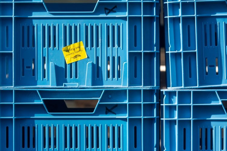 Electronics Stock Clearance Buyers in Valencia, Spain — Any Condition Accepted