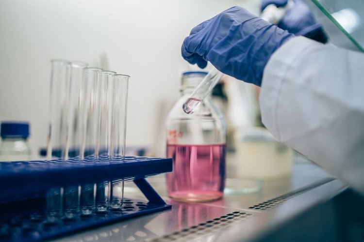 Dead Stock Buyers in Thailand — Chemicals Clearance Near Bangkok, Thailand