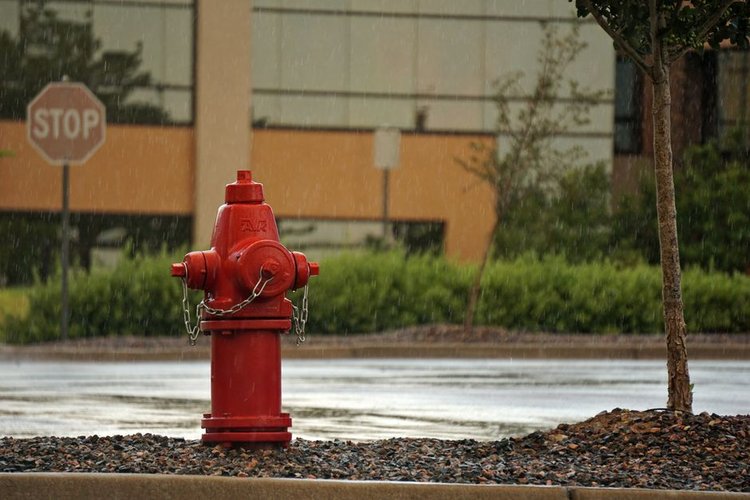 Dead Stock Buyers Near Buffalo, USA — Fire Safety Clearance with Same Day Pay
